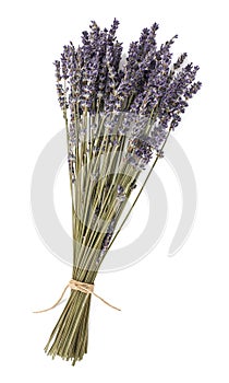 Dried lavender flowers