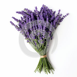 Dried Lavender Flowers On White Background - Aminollah Rezaei Inspired Art photo