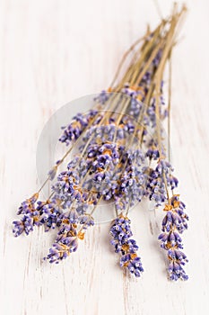 Dried lavender Lavandula angustifolia on white background