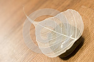 Dried leaf