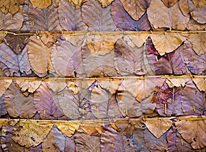 Dried Leaf Texture, haystack roof.