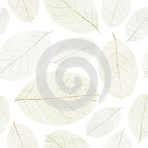 Dried leafs seamless background.