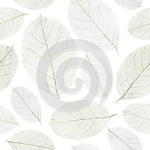 Dried leafs seamless background.