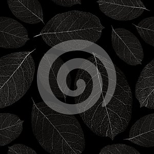 Dried leafs seamless background.