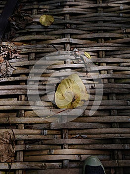 dried leave on the bamboo weave walkway in the sunlights