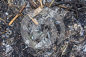 Dried leaves and branches are burned