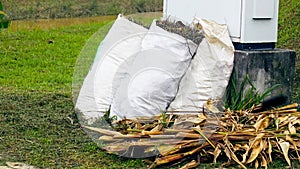 Dried leaves and grasses sacked up in a plastic bag after sweeping. These can be seen kept near an electric box unit