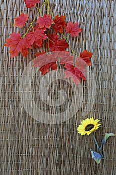 Dried leaves and yellow flower on hassock photo