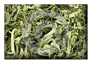 Dried lemon verbena