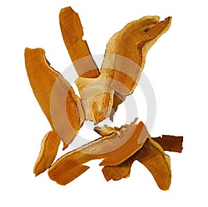 Dried lingzhi mushroom