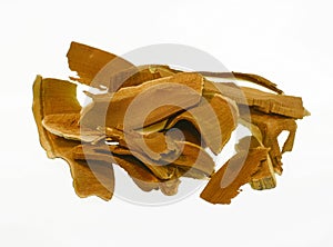 Dried lingzhi mushroom isolated on white background.