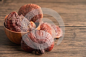 Dried lingzhi mushroom isolated on white background with clipping path