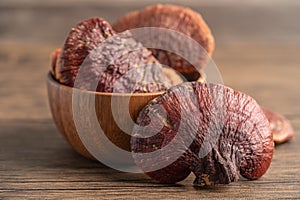 Dried lingzhi mushroom isolated on white background with clipping path