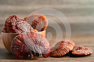 Dried lingzhi mushroom isolated on white background with clipping path