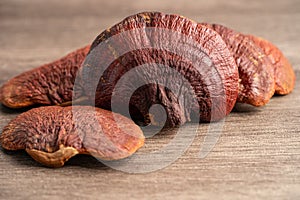 Dried lingzhi mushroom isolated on white background with clipping path