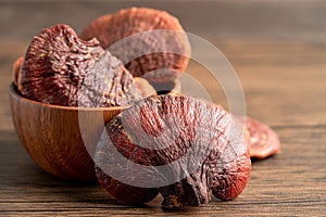 Dried lingzhi mushroom isolated on wooden background