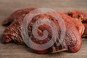 Dried lingzhi mushroom isolated on wooden background