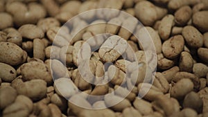 Dried Lintong Coffee Beans of Lintongnihuta