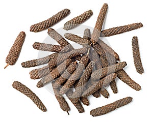 Dried long pepper, piper longum isolated on white, top view