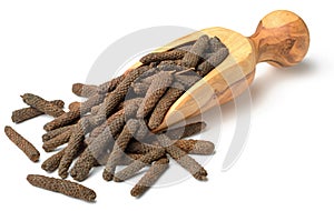 Dried long pepper, piper longum in the wooden scoop, isolated on white