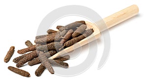 Dried long pepper, piper longum in the wooden spoon, isolated on white