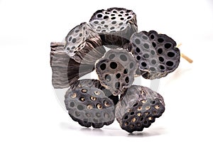 Dried Lotus seed pods isolate on white background.