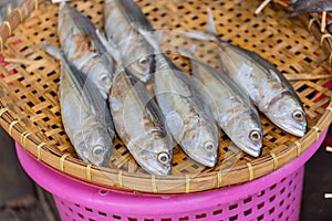 Dried mackerel fish on bamboo threshing basket photo