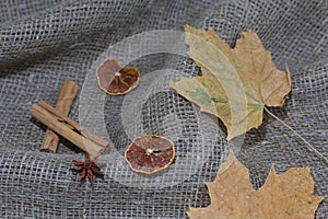Dried maple leaves on a rough linen cloth. Nearby are cinnamon, dried orange slices and anise. Autumn still life