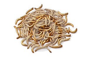 Dried mealworm larva