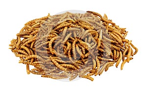 Dried mealworm larvae isolated on a white background