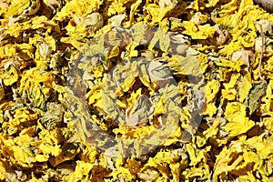 Dried medicinal herbs harvested in the Lahij mountains.