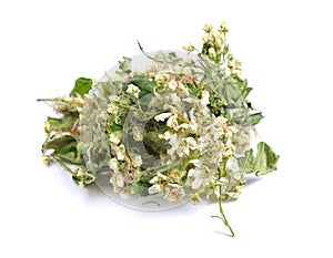 Dried medicinal herbs raw materials isolated on white. Flowerr o photo