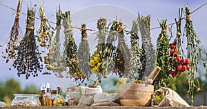 Dried medicinal herbs on the table. Selective focus.