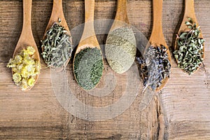 Dried medicinal herbs photo