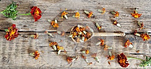 Dried medicinal red flowers of black-haired or golden Mary, Turkish carnation in a wooden spoon with fresh flowers on a wooden