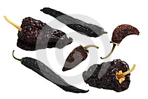 Dried mexican chile peppers photo