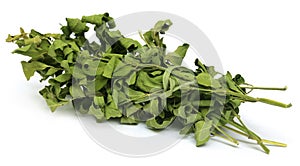 Dried moringa leaves