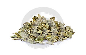 Dried moringa leaves, medicinal plant on white background