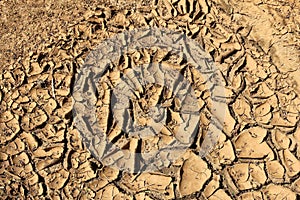 Dried mud