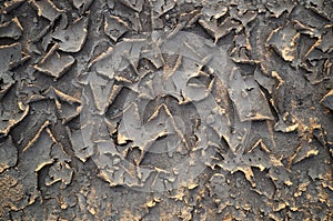 Dried mud