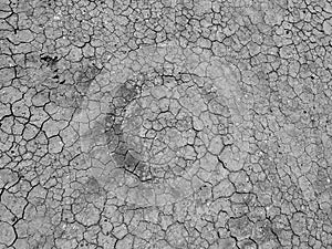 Dried mud background.