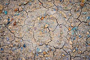 Dried Mud Background