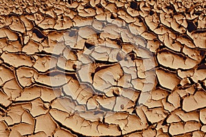 Dried mud background