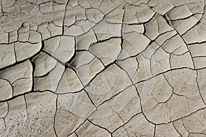 Dried mud background