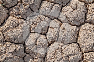 Dried mud cracks