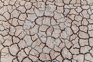 Dried mud cracks