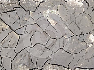 dried mud with cracks closeup photo texture and background