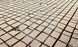 Dried mud cut in square blocks - Stock Image