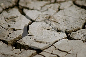 Dried mud or dirt