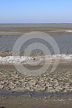 Dried mud in a pond of Camargue